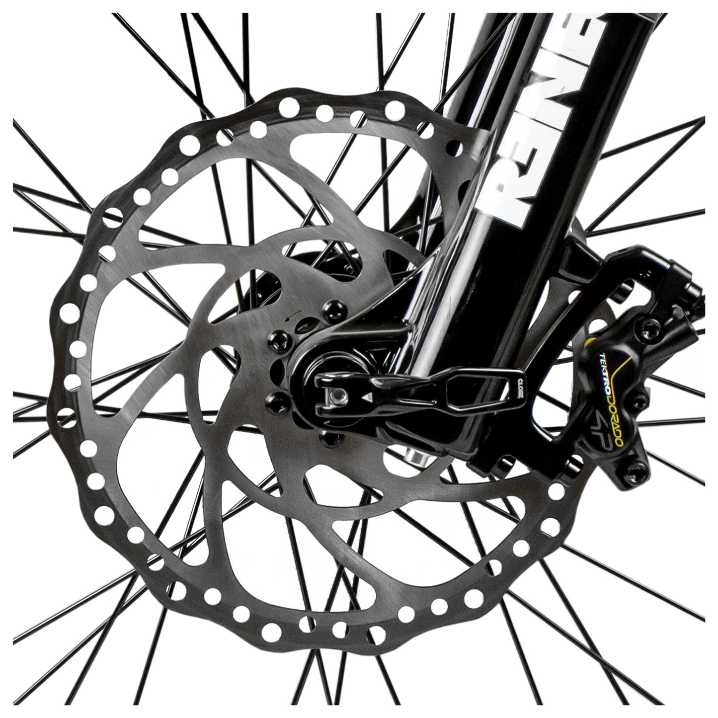 Dark Slate Gray Rambo Rebel XPC1000