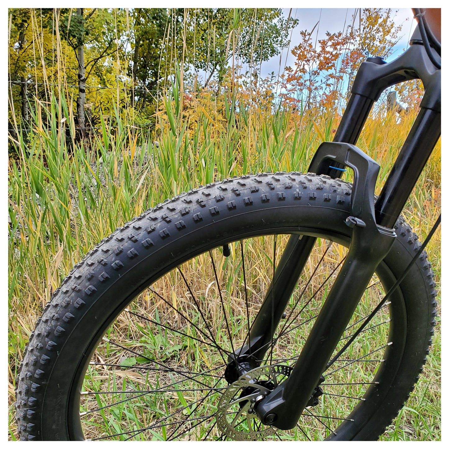 Dark Slate Gray Vtuvia Panther eMTB Full Suspension