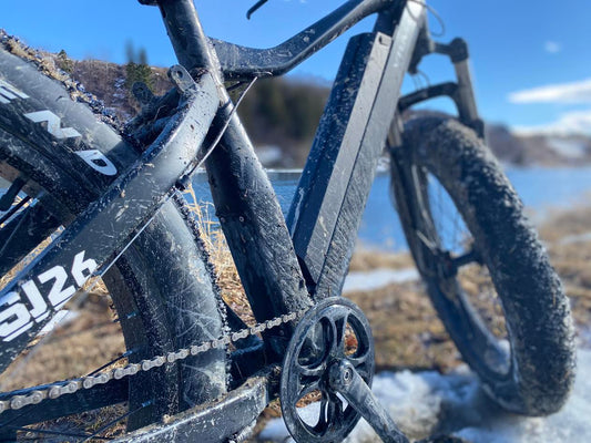Are Affordable Fat Tire E-Bikes the way of the future in Calgary?