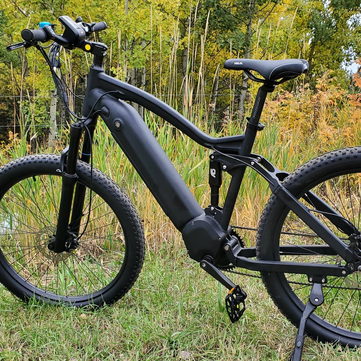 Full deals sus ebike